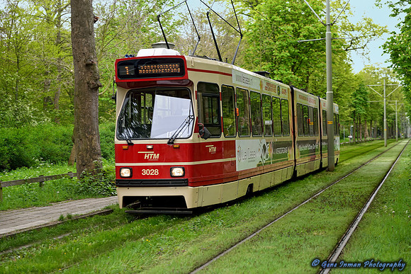 4034 - Tram, Streetcar, The Hague, Holland