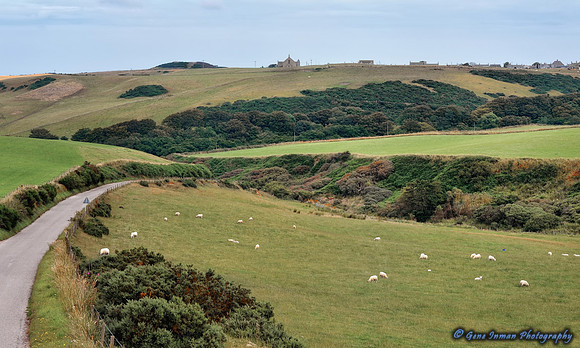 sheep farms