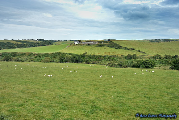 Sheep Farm - GPI_6636.NEF
