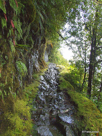 NZ-Milford Sound 2010-62