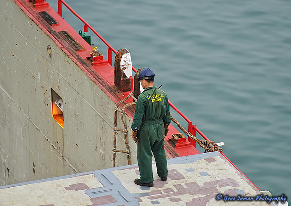 GPI_9262_03330- Coli -Ulsan_293_Batch_294_Batch2_210_V4B-Topez