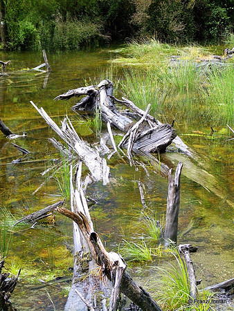 NZ-Milford Sound 2010-56