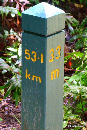 NZ-Milford Sound 2010-66