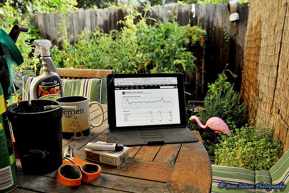 Wednesday Office