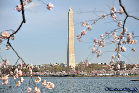 GPI_0404.NEF - Washington DC