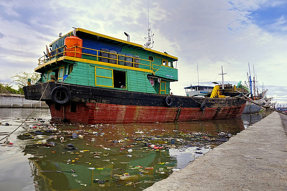 Greenpeace - Jakarta Indonesia