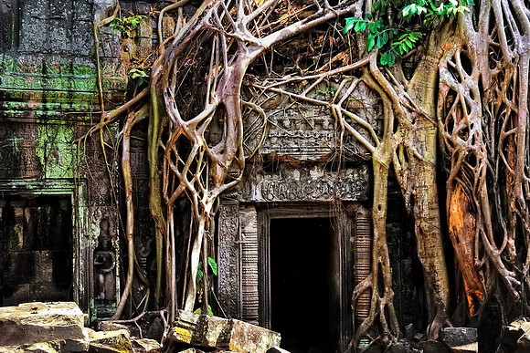 GPI_6214_Cambodia-done_topaz_GenesColor