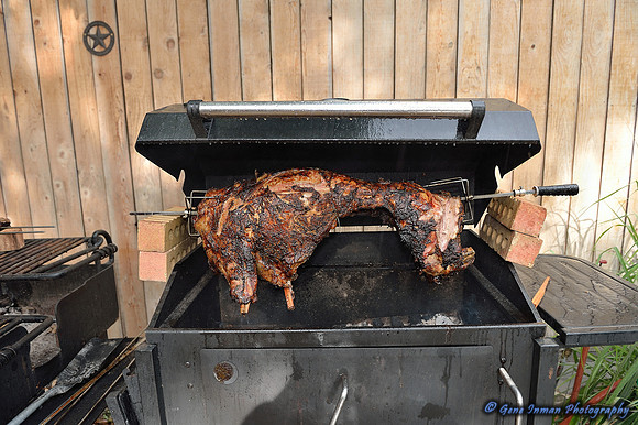 BBQ -GPI_2309.NEF