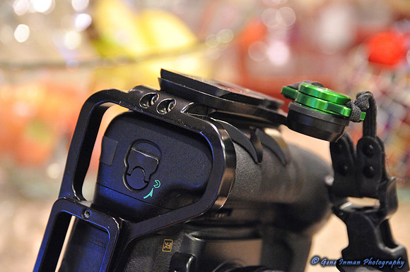 Nikon D800,  L- Bracket with CustomSLR, M-Plate. - 6/5/2013