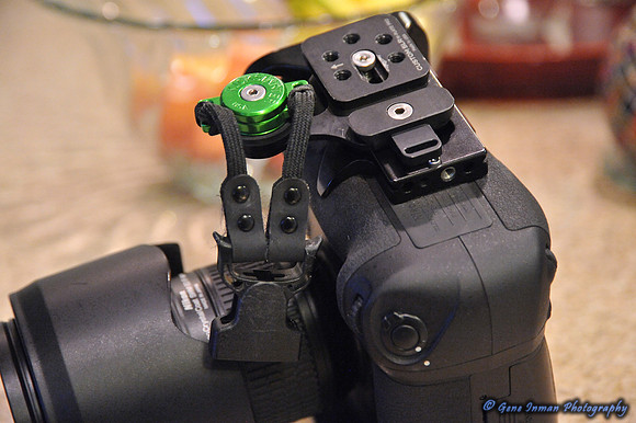 Nikon D800,  L- Bracket with CustomSLR, M-Plate. - 6/5/2013