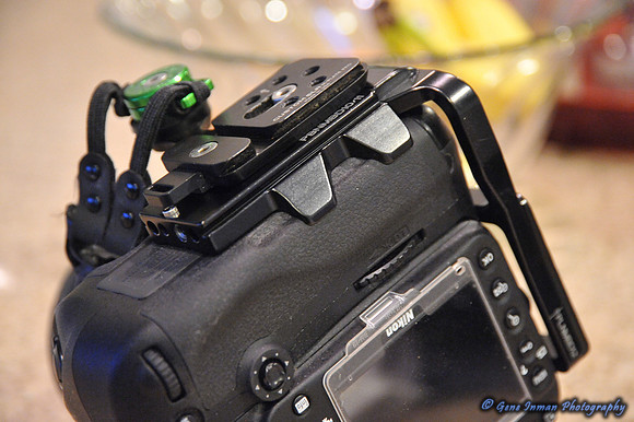 Nikon D800,  L- Bracket with CustomSLR, M-Plate. - 6/5/2013