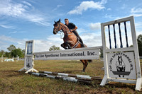 Top Line Sporthorse -GPI_9921.NEF