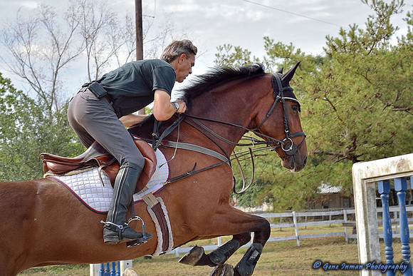 Top Line Sporthorse -GPI_9881.NEF