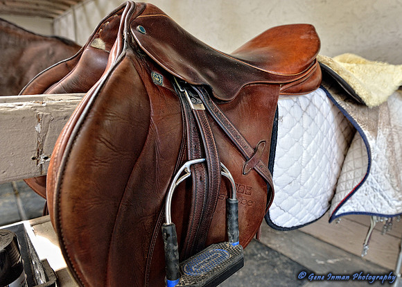 Top Line Sporthorse -GPI_0156.NEF
