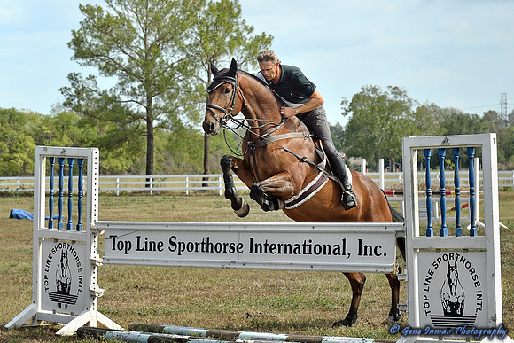 Top Line Sporthorse -GPI_9889.NEF