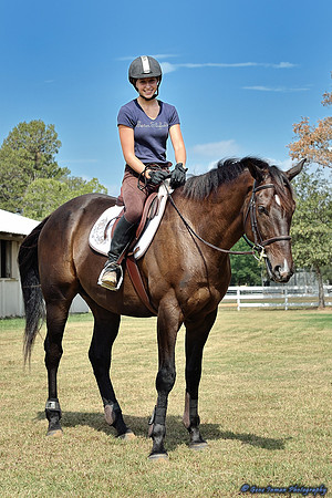 Top Line Sporthorse -GPI_0006.NEF