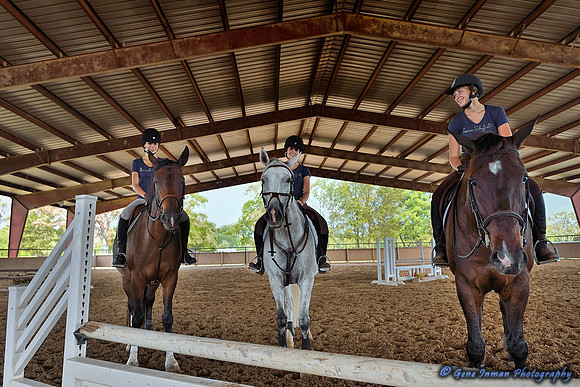 Top Line Sporthorse -GPI_9970.NEF