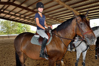 Top Line Sporthorse -GPI_9997.NEF