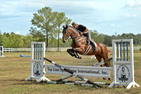 Top Line Sporthorse -GPI_9882.NEF
