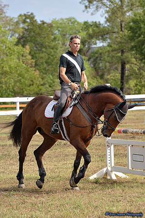 Top Line Sporthorse -GPI_9834.NEF