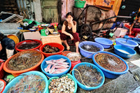 GPI_8593_Hanoi 2 Cooking_002_001
