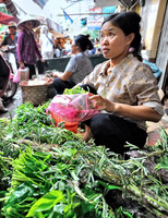 GPI_8742_Hanoi 2 Cooking_040_011