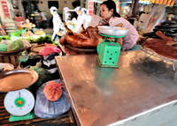 GPI_8615_Hanoi 2 Cooking_009_003
