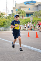 8317 -Dad's Day 5k Run, Downtown Houston