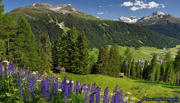 Road trip through the Alps -