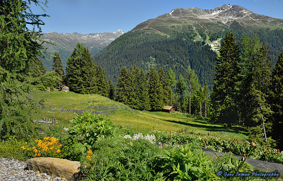 Road trip through the Alps -