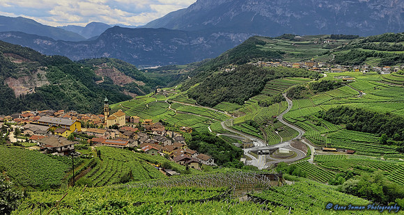 Road trip through the Alps - Vineyards in Giovo, Trento, Italy.