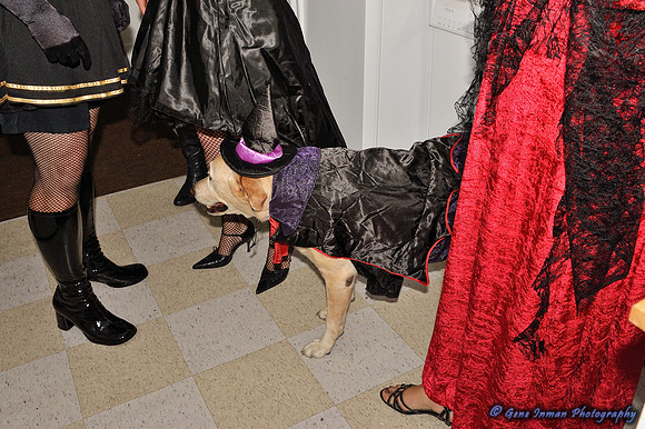 Post Halloween Party - GPI_4832-17 Batch.NEF
