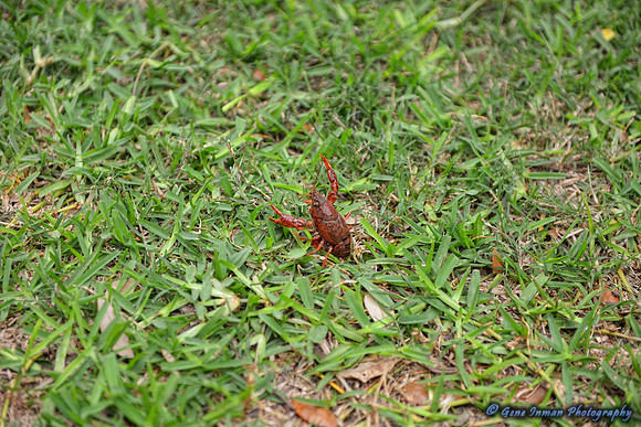 069 - Crawfish Boil with Clay & Heidi