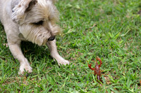 068 - Crawfish Boil with Clay & Heidi