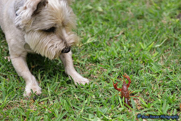 068 - Crawfish Boil with Clay & Heidi