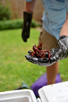 080 - Crawfish Boil with Clay & Heidi