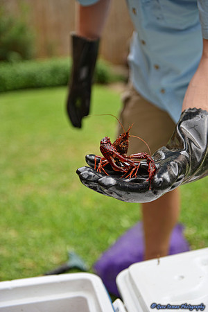 080 - Crawfish Boil with Clay & Heidi