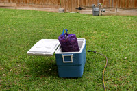 078 - Crawfish Boil with Clay & Heidi