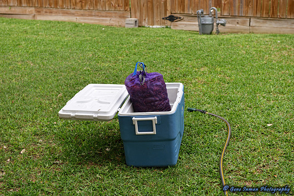078 - Crawfish Boil with Clay & Heidi
