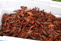 079 - Crawfish Boil with Clay & Heidi