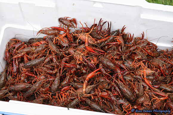 079 - Crawfish Boil with Clay & Heidi