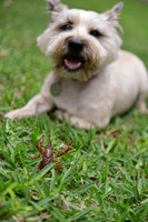 071 - Crawfish Boil with Clay & Heidi