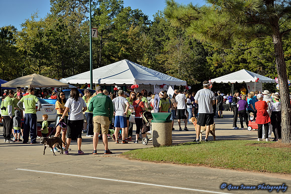 11/2/2013 - Walk to Defeat ALSWoodlands / Conroe  Texas