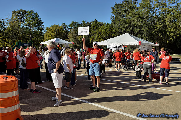 11/2/2013 - Walk to Defeat ALSWoodlands / Conroe  Texas