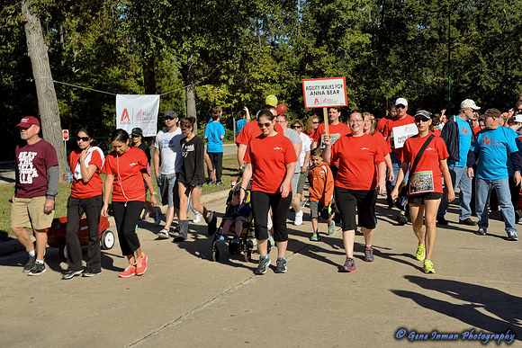 11/2/2013 - Walk to Defeat ALSWoodlands / Conroe  Texas