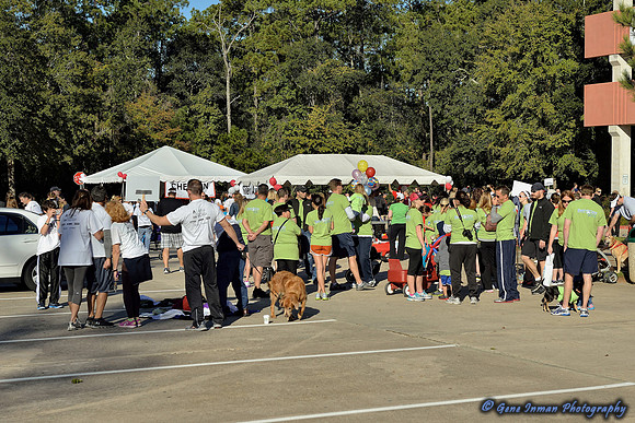11/2/2013 - Walk to Defeat ALSWoodlands / Conroe  Texas