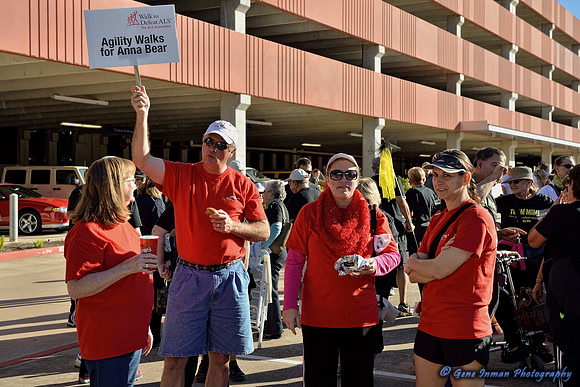 11/2/2013 - Walk to Defeat ALSWoodlands / Conroe  Texas