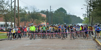 GPI_6949.NEF - Gator Ride, Baytown,TX