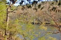 11/26/2013 - Camping at  Beaver Lake in  Broken Bow, Ok