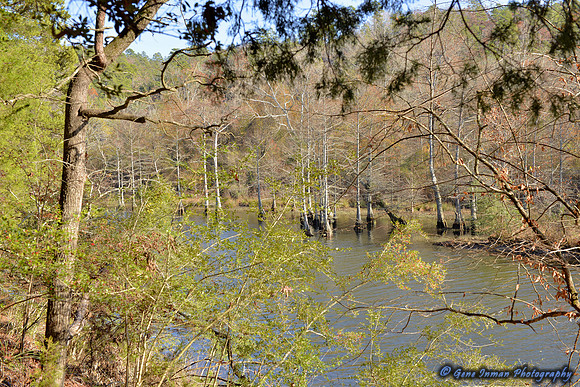 11/26/2013 - Camping at  Beaver Lake in  Broken Bow, Ok